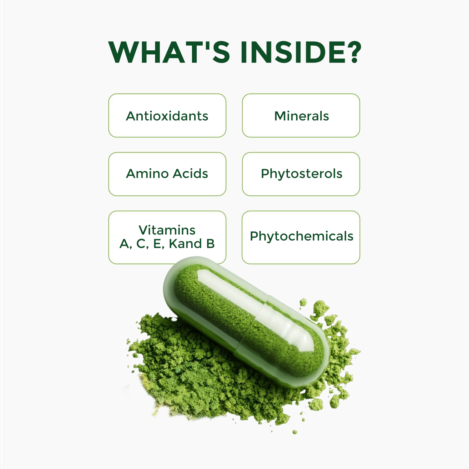 C&aacute;psulas de Moringa